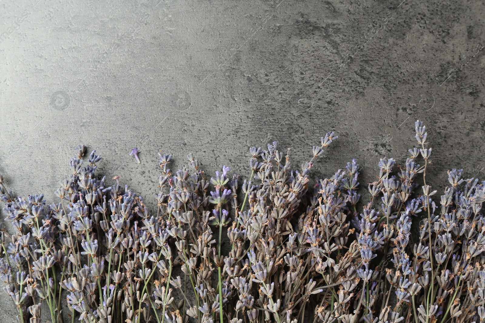 Photo of Fragrant lavender flowers on grey table, flat lay. Space for text