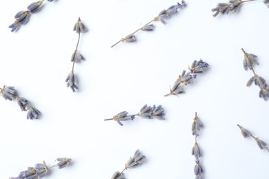Photo of Fragrant lavender flowers on white background, flat lay