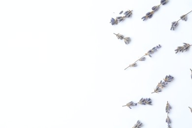 Photo of Fragrant lavender flowers on white background, flat lay. Space for text