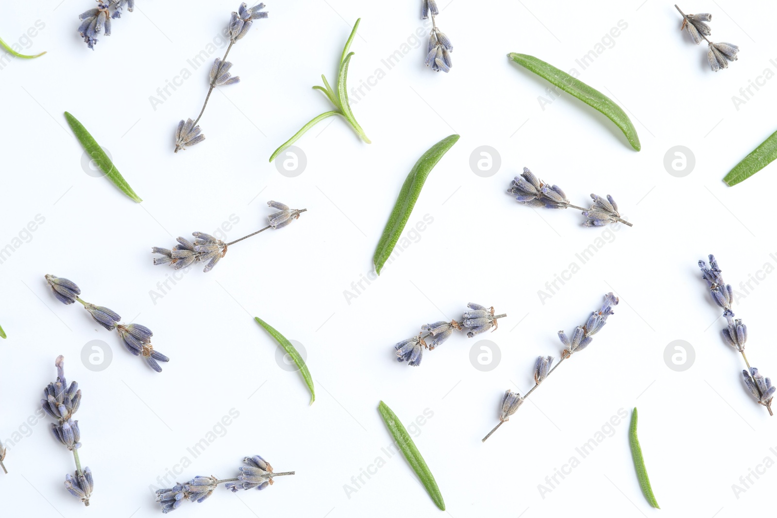 Photo of Fragrant lavender flowers and green leaves on white background, flat lay