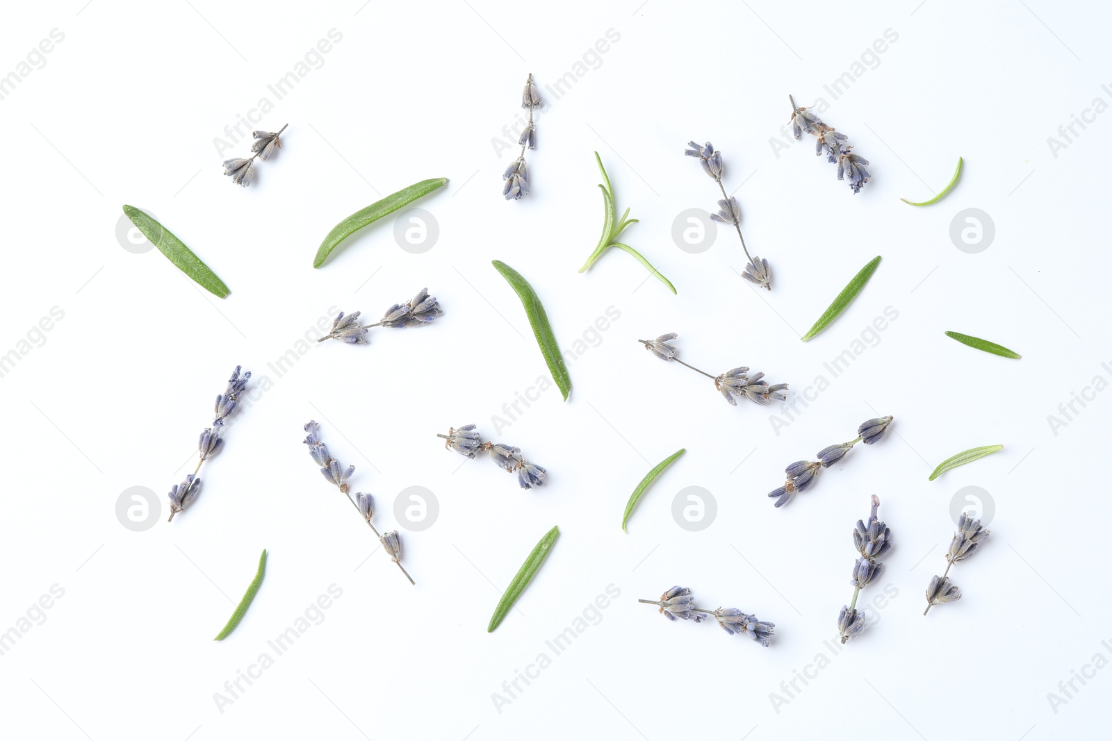 Photo of Fragrant lavender flowers and green leaves on white background, flat lay
