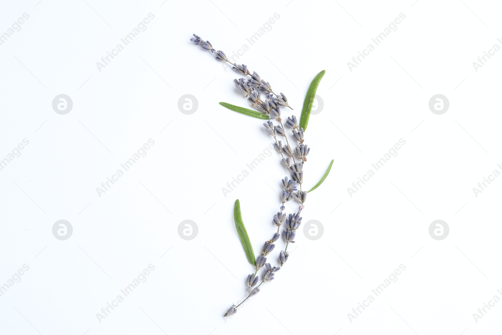 Photo of Fragrant lavender flowers and green leaves on white background, flat lay