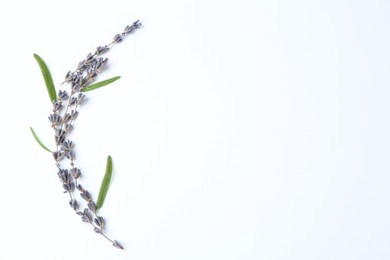 Photo of Fragrant lavender flowers and green leaves on white background, flat lay. Space for text
