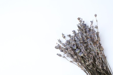 Photo of Bunch of fragrant lavender flowers on white background, top view. Space for text