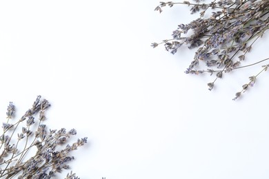 Photo of Fragrant lavender flowers on white background, flat lay. Space for text