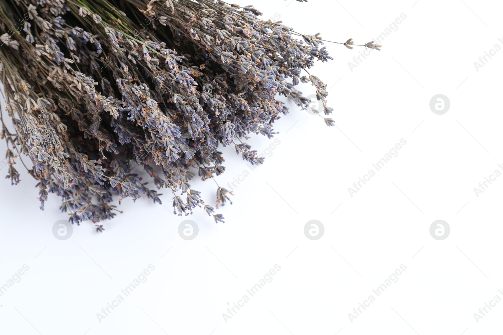 Photo of Fragrant lavender flowers on white background, top view. Space for text