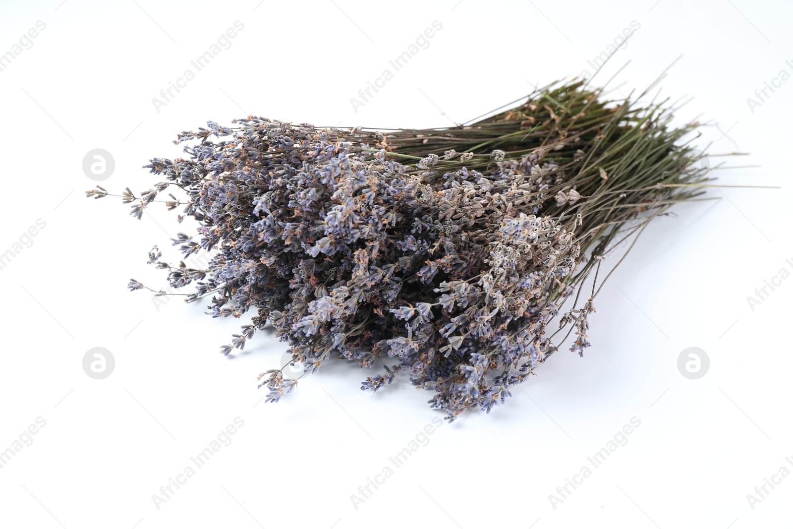 Bunch of fragrant lavender flowers on white background Photo of Bunch of fragrant lavender flowers on white background
