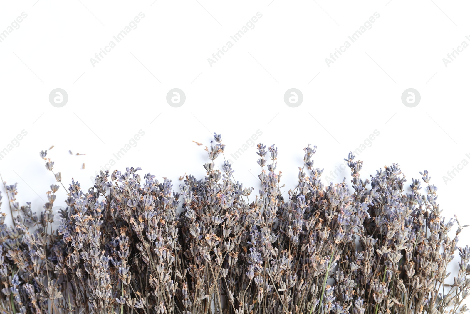 Photo of Fragrant lavender flowers on white background, flat lay. Space for text