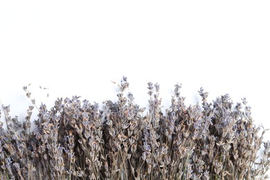 Photo of Fragrant lavender flowers on white background, flat lay. Space for text