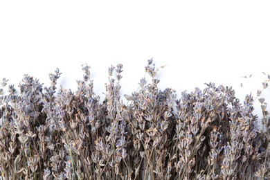 Photo of Fragrant lavender flowers on white background, flat lay. Space for text