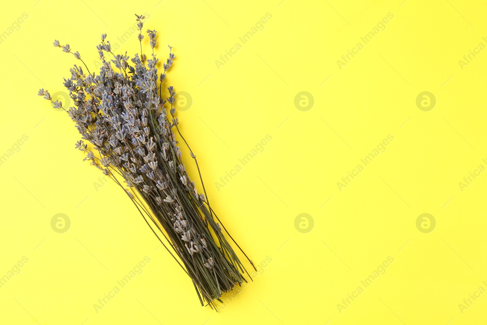 Photo of Bunch of fragrant lavender flowers on yellow background, top view. Space for text