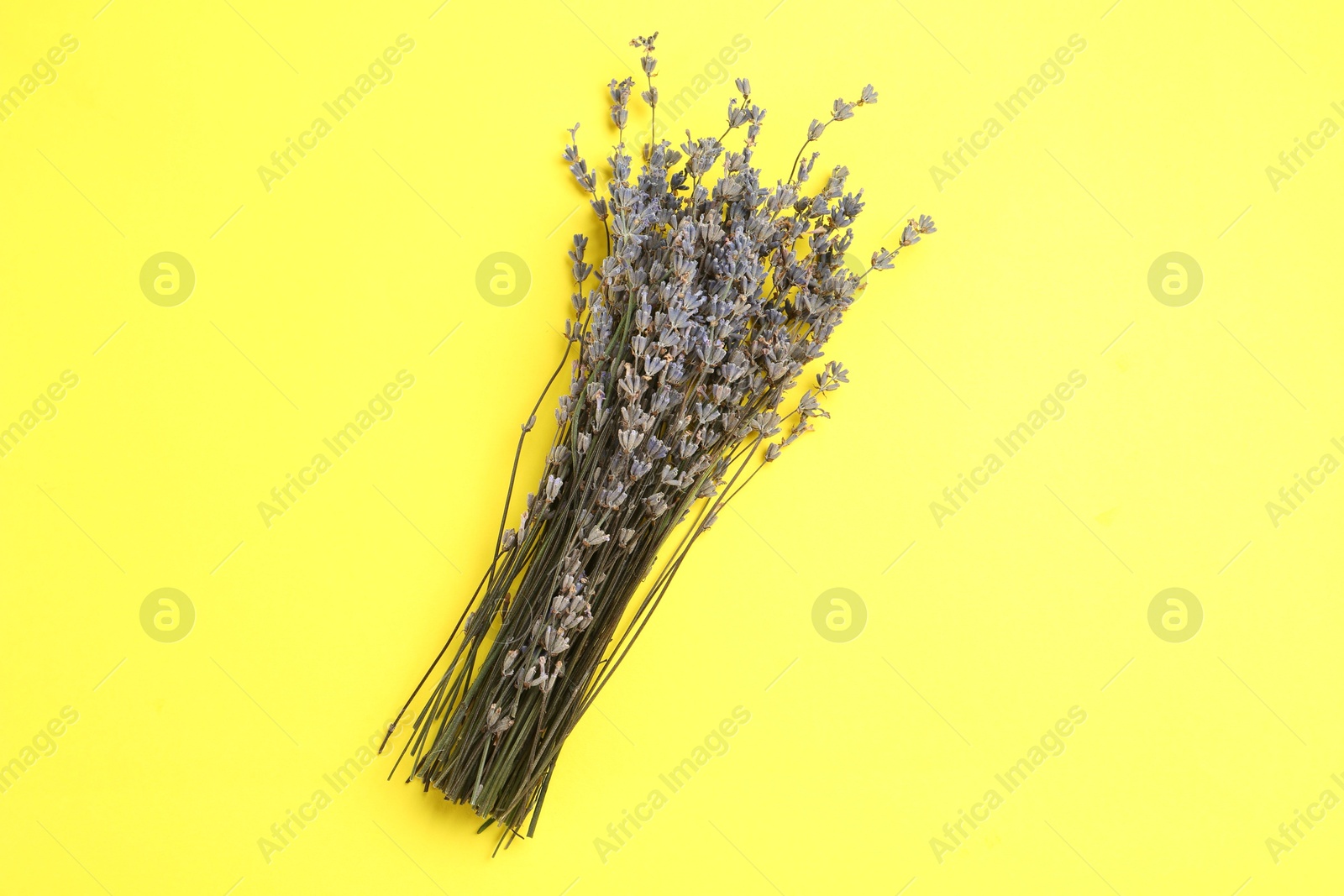 Photo of Bunch of fragrant lavender flowers on yellow background, top view