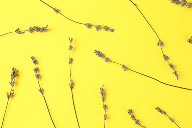Photo of Fragrant lavender flowers on yellow background, flat lay