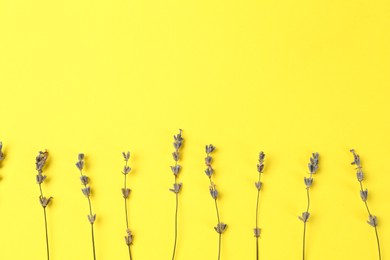 Photo of Fragrant lavender flowers on yellow background, flat lay. Space for text