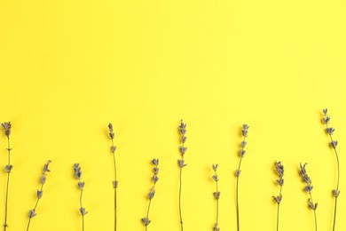 Photo of Fragrant lavender flowers on yellow background, flat lay. Space for text