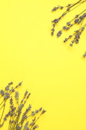 Photo of Fragrant lavender flowers on yellow background, flat lay. Space for text