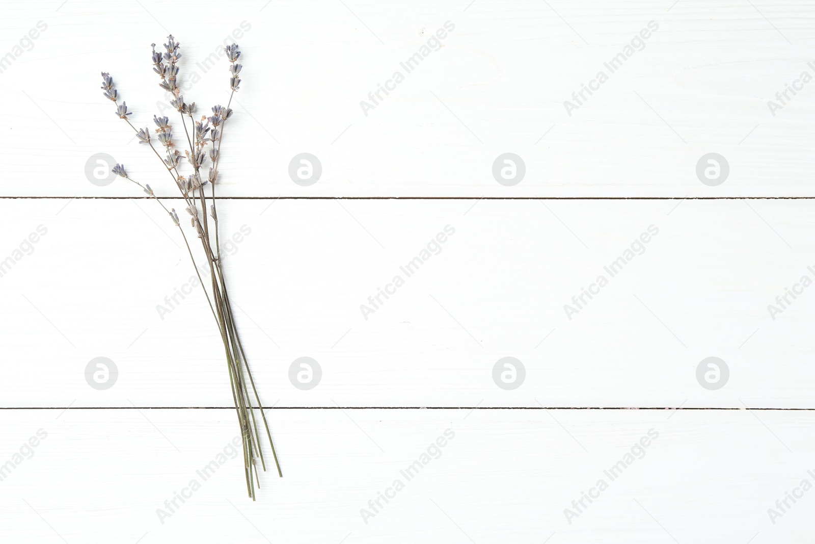 Fragrant lavender flowers on white wooden table, flat lay. Space for text Photo of Fragrant lavender flowers on white wooden table, flat lay. Space for text