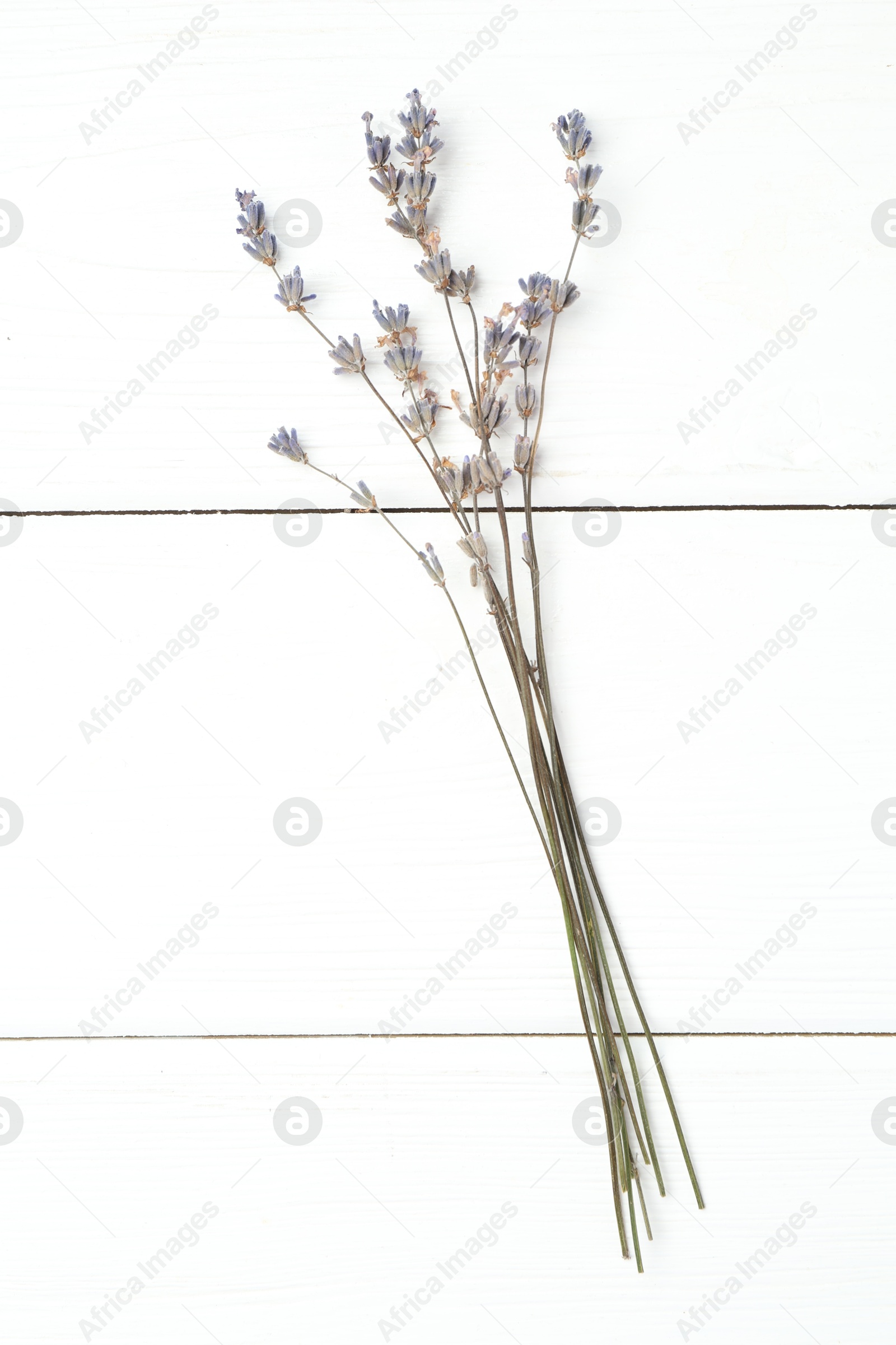 Fragrant lavender flowers on white wooden table, flat lay Photo of Fragrant lavender flowers on white wooden table, flat lay