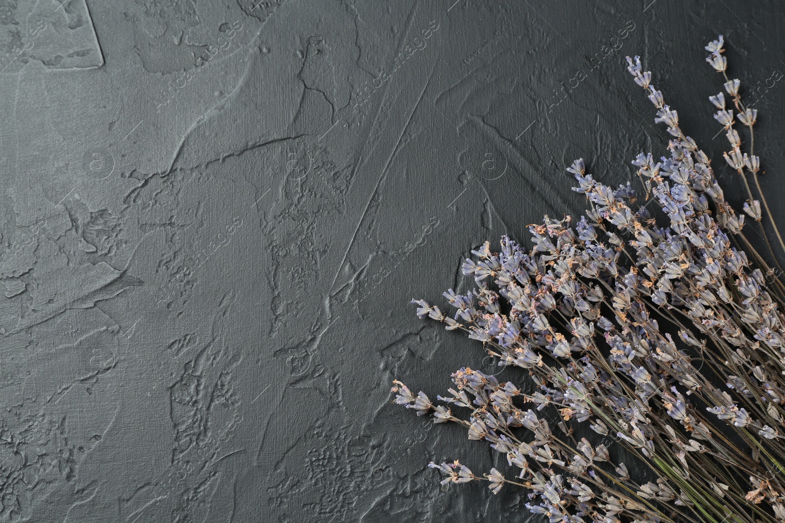 Photo of Fragrant lavender flowers on black textured table, flat lay. Space for text