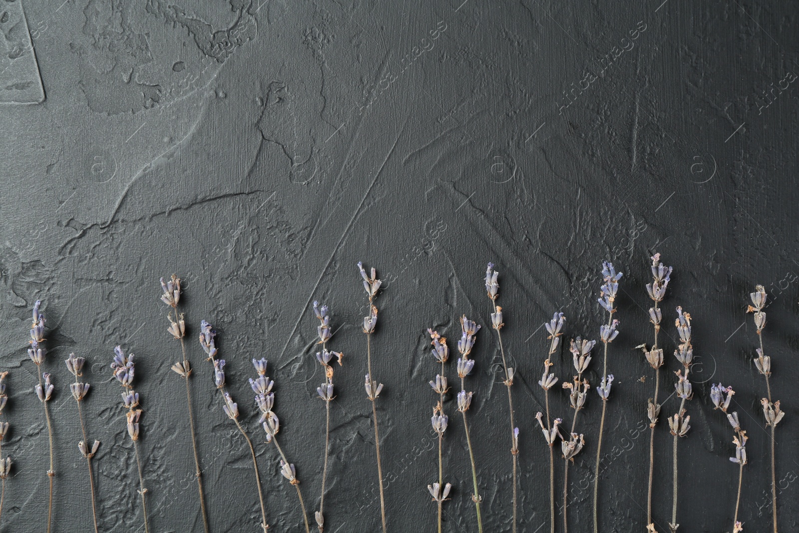 Photo of Fragrant lavender flowers on black textured table, flat lay. Space for text
