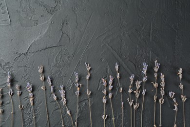 Photo of Fragrant lavender flowers on black textured table, flat lay. Space for text