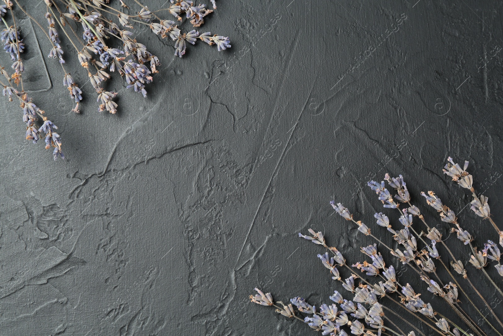 Photo of Fragrant lavender flowers on black textured table, flat lay. Space for text