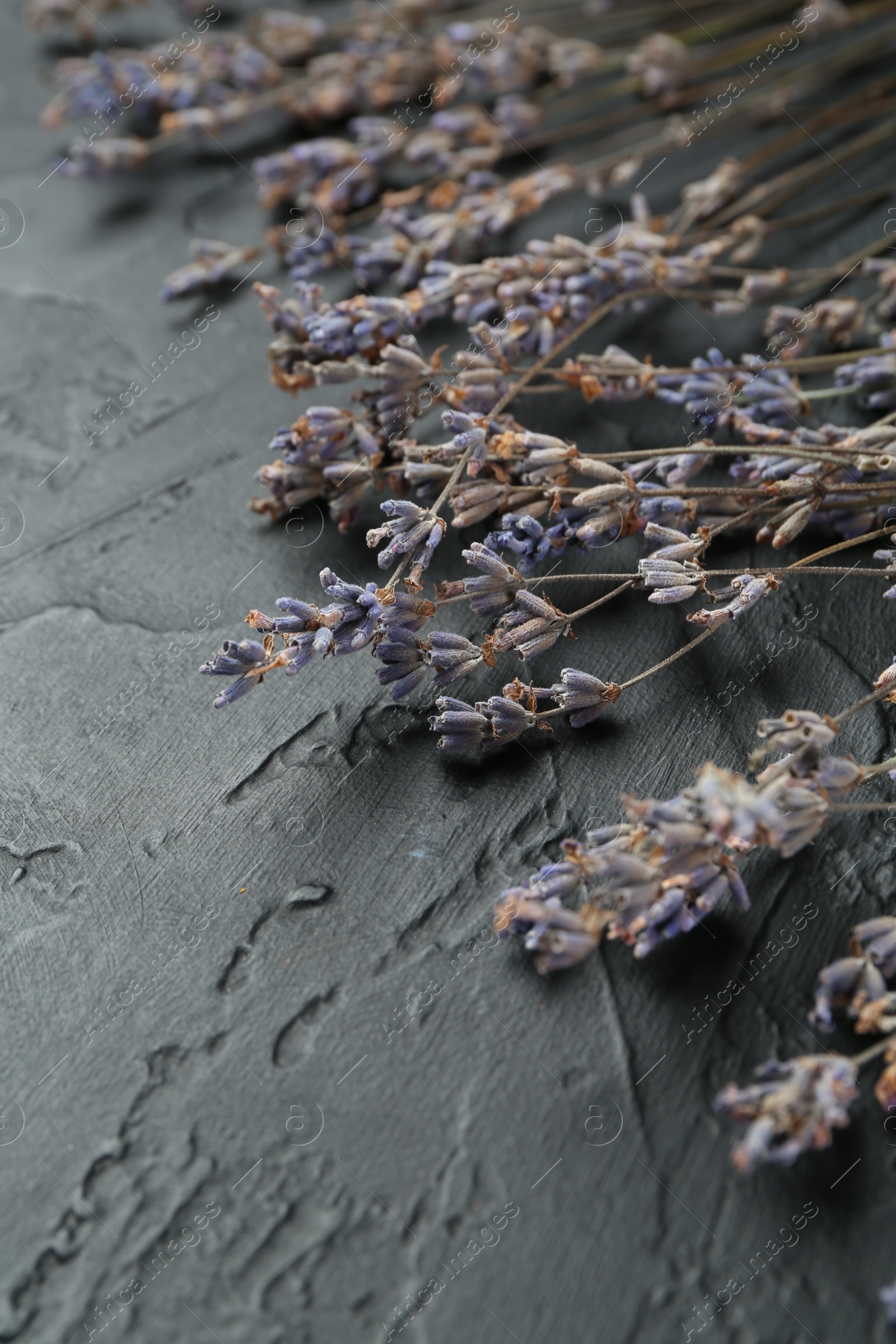 Photo of Fragrant lavender flowers on black textured table, closeup
