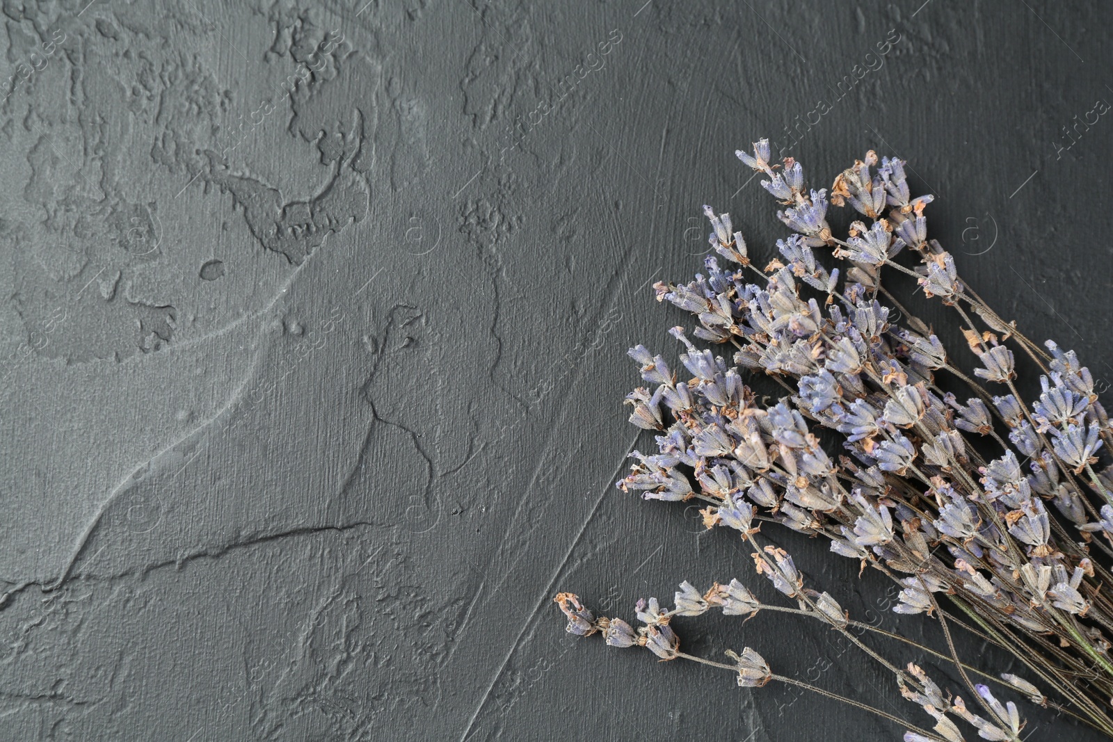 Photo of Fragrant lavender flowers on black textured table, flat lay. Space for text