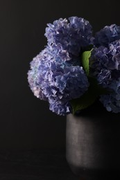 Photo of Beautiful hortensia flowers in vase on black table, closeup