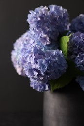 Photo of Beautiful hortensia flowers in vase on black background, closeup