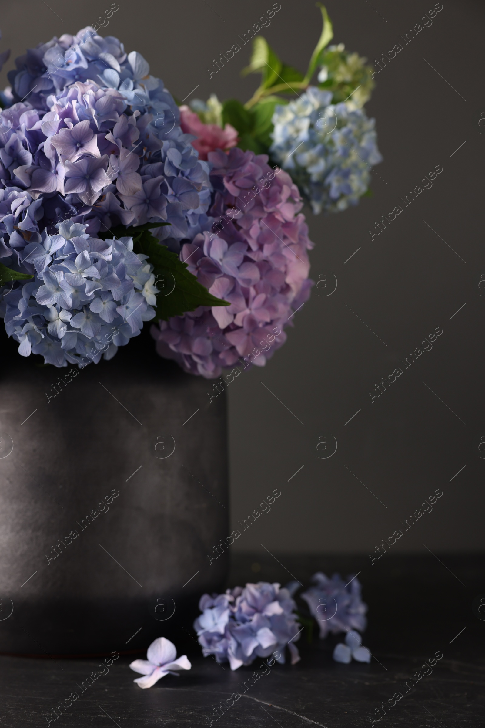 Photo of Beautiful hortensia flowers in vase on black table, closeup