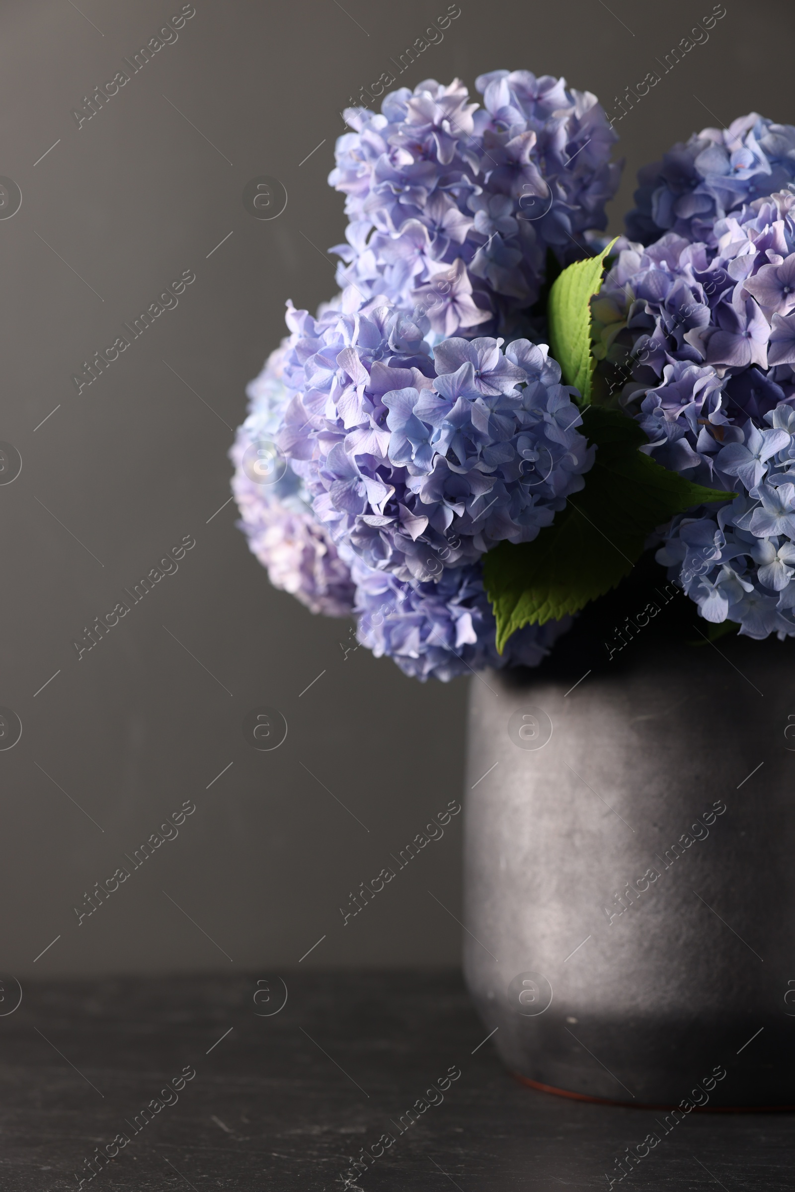 Photo of Beautiful hortensia flowers in vase on black table, closeup