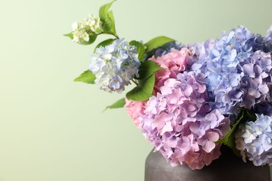 Photo of Beautiful hortensia flowers in vase on light green background, closeup. Space for text