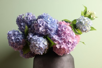 Photo of Beautiful hortensia flowers in vase on light green background, closeup