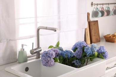 Photo of Beautiful blue hortensia flowers in kitchen sink