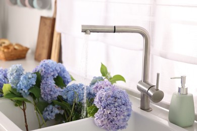 Photo of Beautiful blue hortensia flowers in kitchen sink, closeup