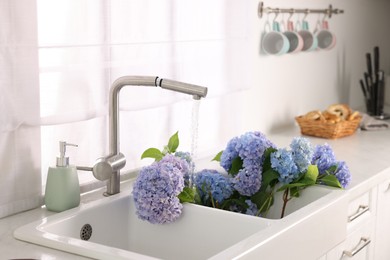 Photo of Beautiful blue hortensia flowers in kitchen sink