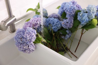 Photo of Beautiful blue hortensia flowers in kitchen sink, closeup