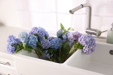 Photo of Beautiful blue hortensia flowers in kitchen sink