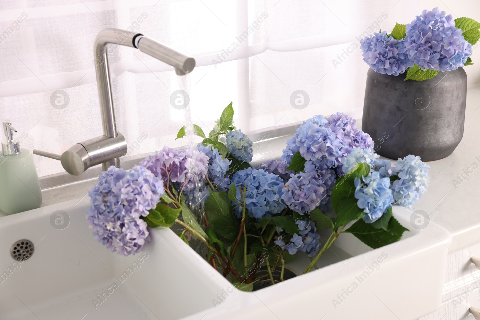 Photo of Bouquets of beautiful blue hortensia flowers in kitchen
