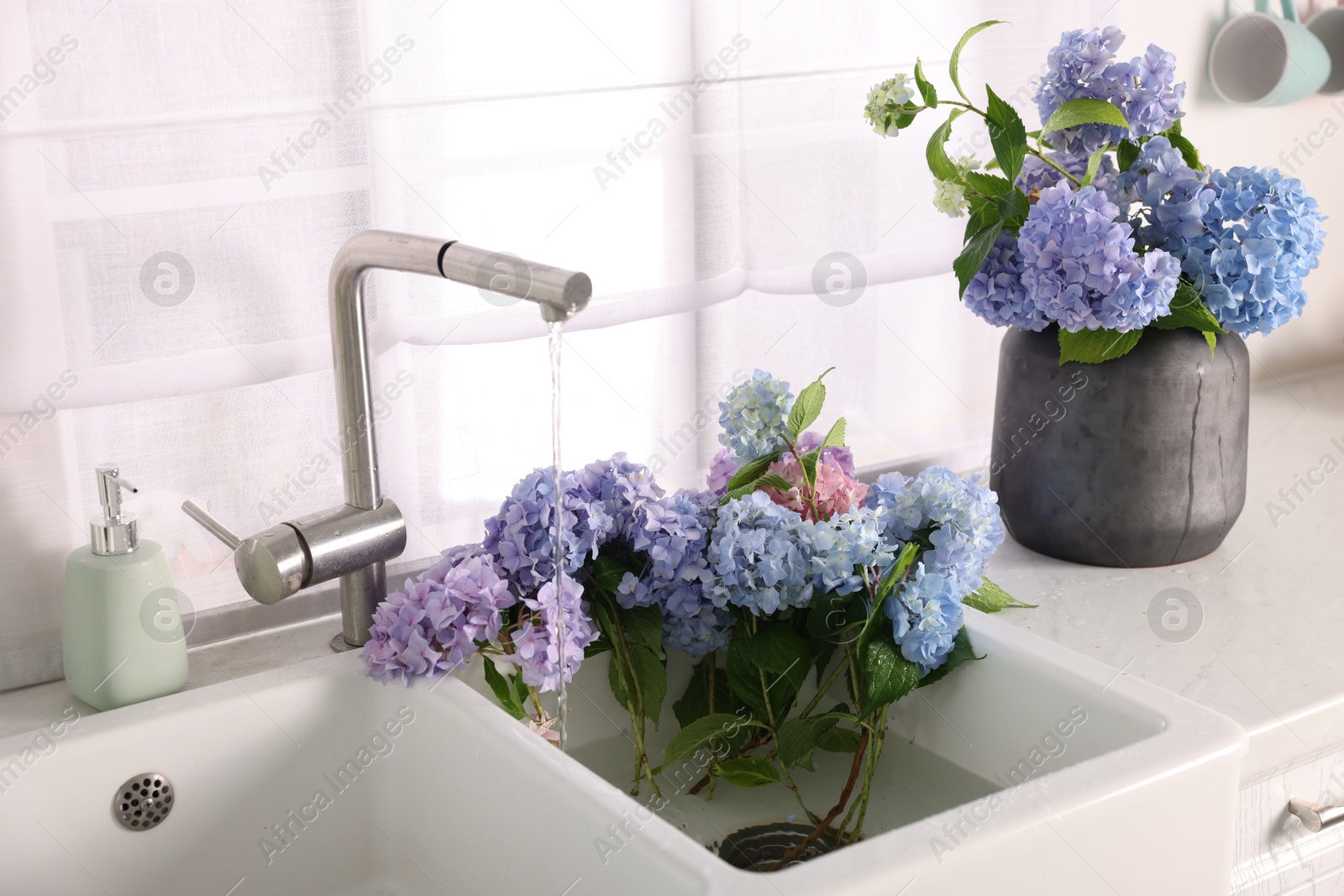 Photo of Bouquets of beautiful blue hortensia flowers in kitchen