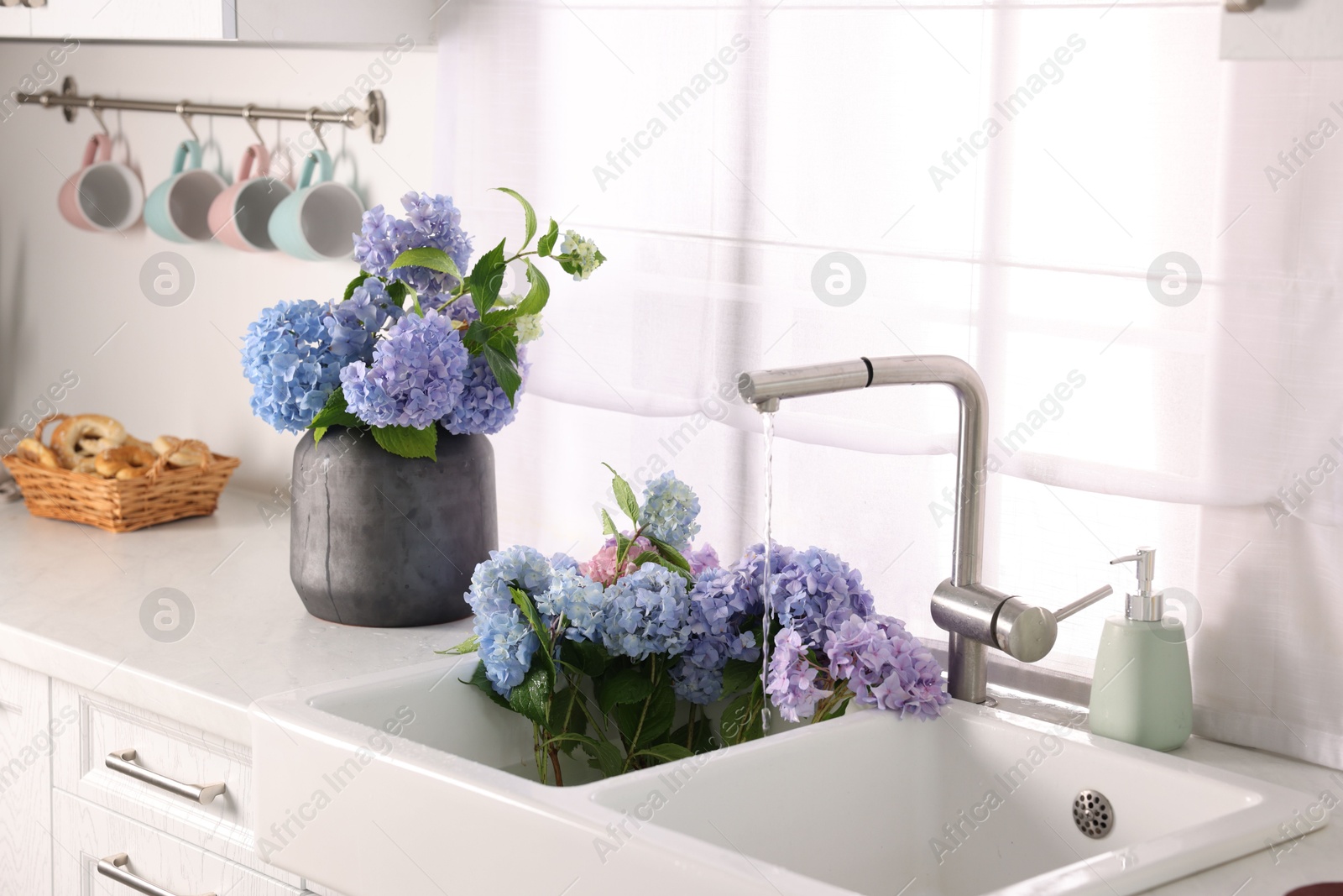 Photo of Bouquets of beautiful blue hortensia flowers in kitchen