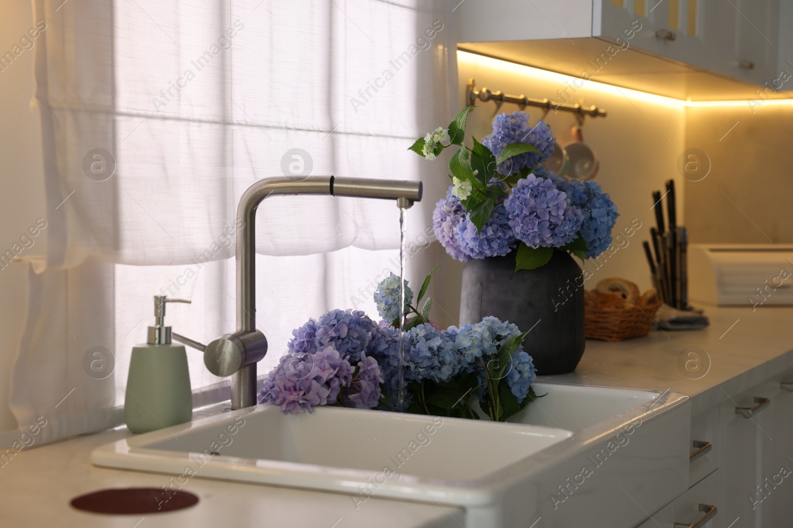 Photo of Bouquets of beautiful blue hortensia flowers in kitchen
