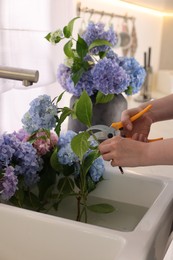 Photo of Woman pruning hortensia flowers with shears over kitchen sink, closeup