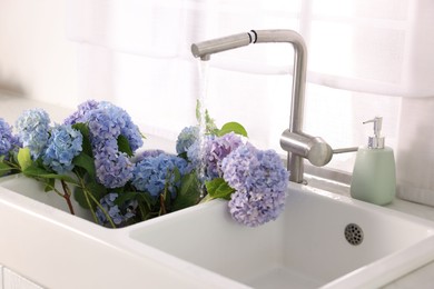 Photo of Beautiful blue hortensia flowers in kitchen sink, closeup
