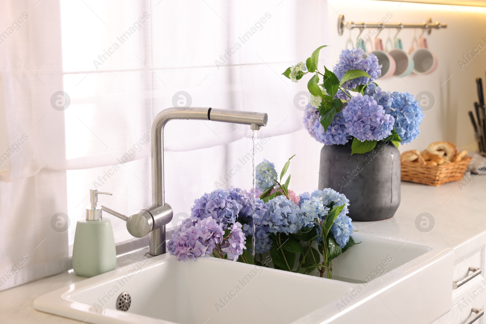 Photo of Bouquets of beautiful blue hortensia flowers in kitchen