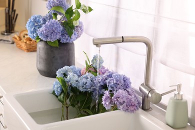 Photo of Bouquets of beautiful blue hortensia flowers in kitchen