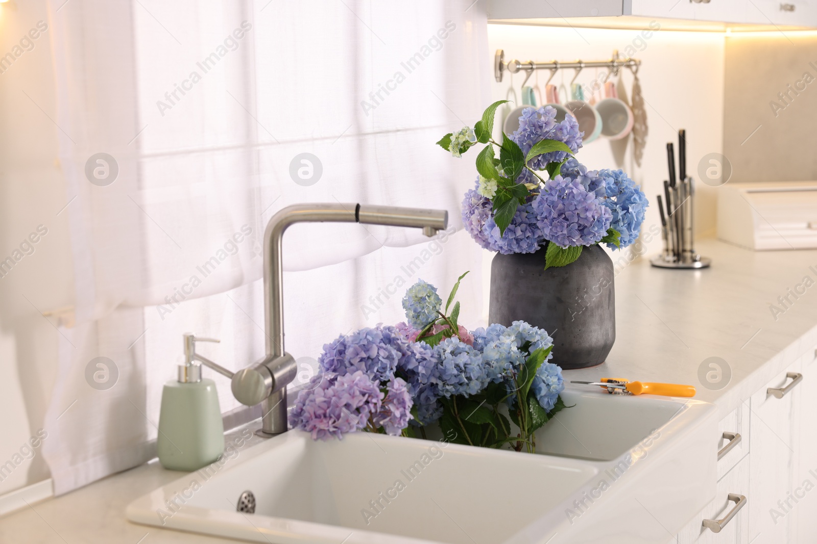 Photo of Bouquets of beautiful blue hortensia flowers in kitchen