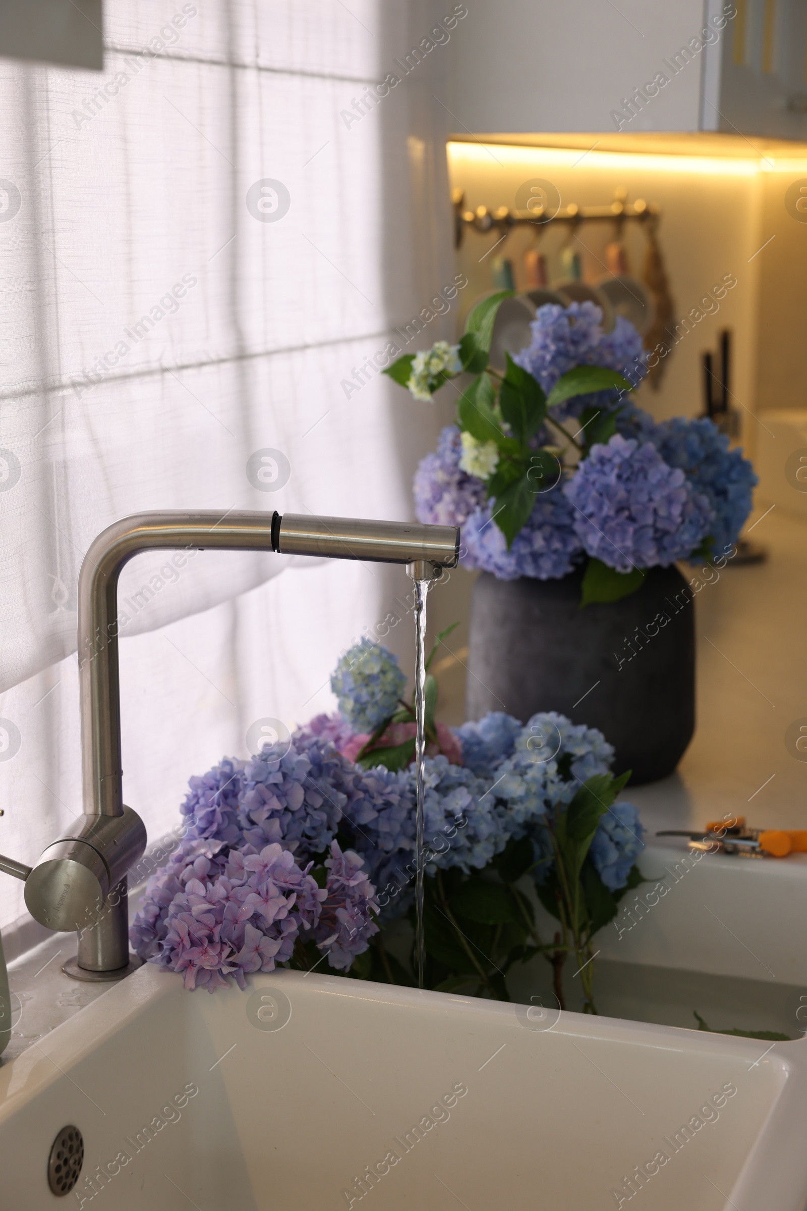 Photo of Bouquets of beautiful blue hortensia flowers in kitchen
