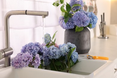 Photo of Bouquets of beautiful blue hortensia flowers in kitchen, closeup